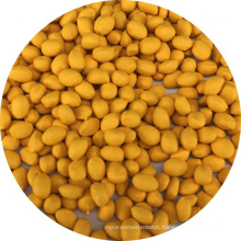 Y-4 17% Color Pigment Masterbatch PE yellow msds color masterbatch